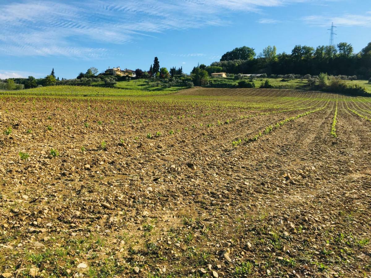 Agriturismo La Valle A Polvereto Tavarnelle Val di Pesa Экстерьер фото