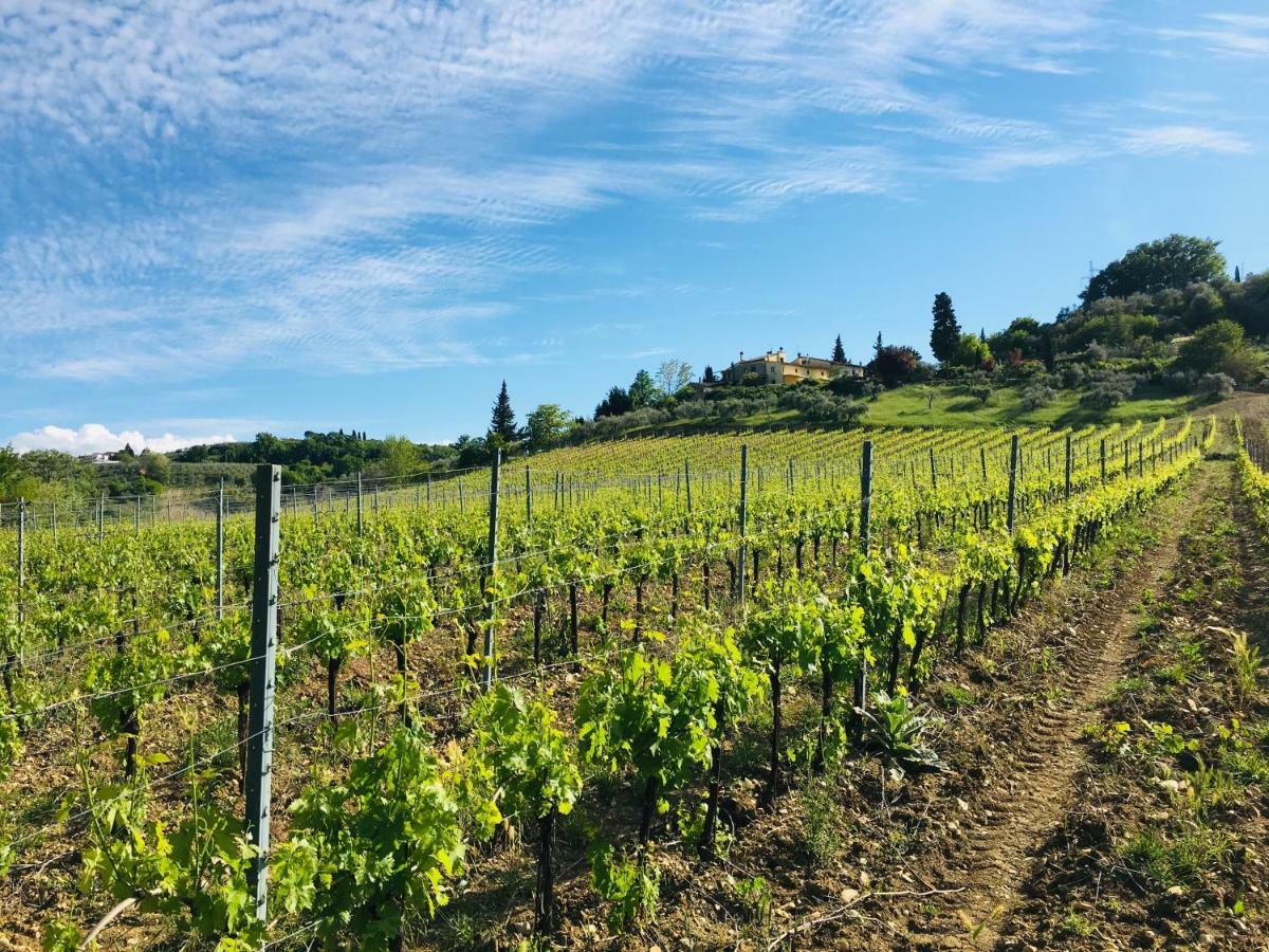 Agriturismo La Valle A Polvereto Tavarnelle Val di Pesa Экстерьер фото